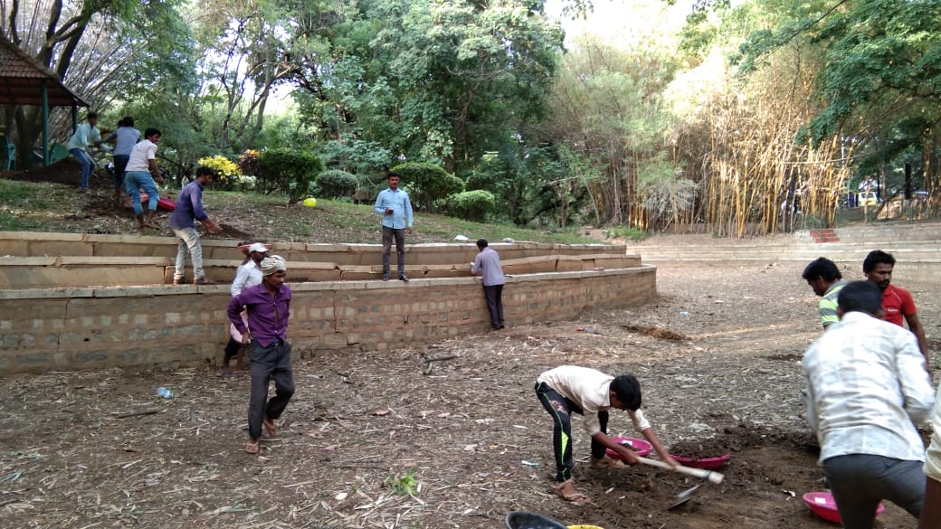 Cleaning of a Pond Bed