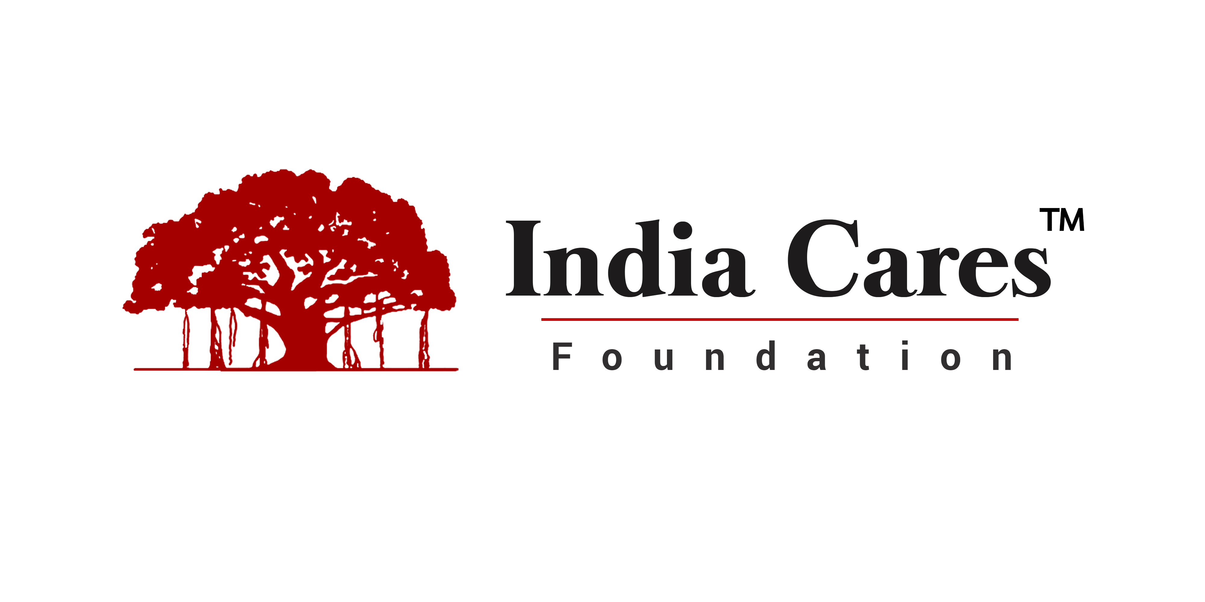 cso logo